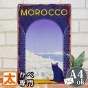 ブリキ看板 k モロッコ タンジェ 猫 ねこ ポスター 絵 猫雑貨インテリア インテリア 雑貨 アートパネル アートボード 壁掛け 地中海 風景 絶景 シャウエン 北欧雑貨 アメリカン雑貨 プレート イラスト 絵画 おしゃれ モダン 30cm A4 動物