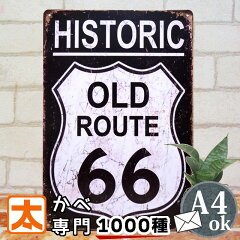 https://thumbnail.image.rakuten.co.jp/@0_mall/taiyozakka/cabinet/buriki/route66/66-d1-2ml-r.jpg