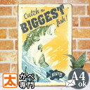 釣り ブリキ看板 s bg バス釣り ポスター 男前インテリア アートパネル ハワイアン プレート 絵画 フィッシング ブラックバス 鯉 魚 海 湖 西海岸 サーフ系 タペストリー おしゃれな オレンジ色 ブリキ看板アメリカン雑貨 20cm 30cm A4 メール便 動物