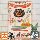 ハロウィンボード 壁飾り ブリキ看板 ガーデン s かぼちゃ pc ポスター 絵 壁掛け インテリア雑貨 アートパネル パンプキン ネコ 黒猫 Hallowee...