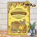 ハロウィン 飾り 玄関 ブリキ看板 s かぼちゃ 猫 ねこ tg 雑貨 グッズ オーナメント ハロウィーン カボチャ 南瓜 パンプキン ネコ グッズ 秋 ディスプレイ デコレーション 装飾 部屋 室内 壁面 置物 おしゃれ モダン レトロ かわいい アンティーク 2024年 動物
