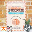 ハロウィン デコレーションブリキ看板 かぼちゃ パンプキン 飾り付け ディスプレイ 壁掛け インテリア ポスター ハロウィーン 飾り かざり カボチャ 装飾 雑貨 絵 置物 玄関 玄関飾り ガーデン インテリア雑貨 屋外 庭 ガーデニング オーナメント 撮影 おしゃれ