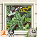 春 装飾 絵画 135 ミーガンギャラガー ジャングル ポスター 絵 花 植物 観葉植物 壁掛け 男前インテリア雑貨 アートパネル アートフレーム イラスト オーナメント おしゃれな モダン かわいい 北欧 小さい 春