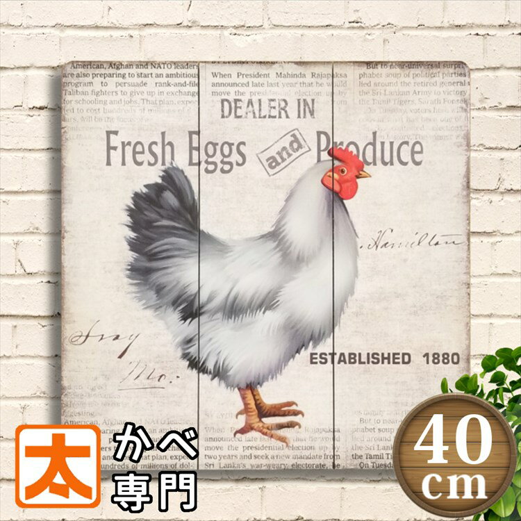 レトロ 鶏 看板 大きめ