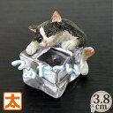 ハチワレ猫 アイスアニマル 猫 ねこ グッズ インテリア ハチワレ 動物 置物 かわいい 夏 ひんやりグッズ 夏 涼む アイテム