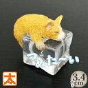 アイスアニマル 犬 コーギー 動物 置物 かわいい 夏 ひんやりグッズ 夏 涼む アイテム