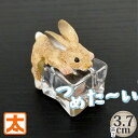 うさぎ雑貨 インテリア アイスアニマル うさぎ ウサギ 動物 置物 グッズ かわいい 夏 ひんやりグッズ 夏 涼む 暑さ対策 アイテム イースター かわいい 可愛い 小さい ミニ