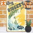 300円OFF】 釣り ブリキ看板 s bg バス釣り ポスター インテリア 魚 アート アートパネル ハワイアン プレート 絵画 フィッシング ブラックバス 鯉 海 湖 西海岸 サーフ系 タペストリー おしゃれな オレンジ色 ブリキ看板アメリカン雑貨 20cm 30cm A4 メール便 動物