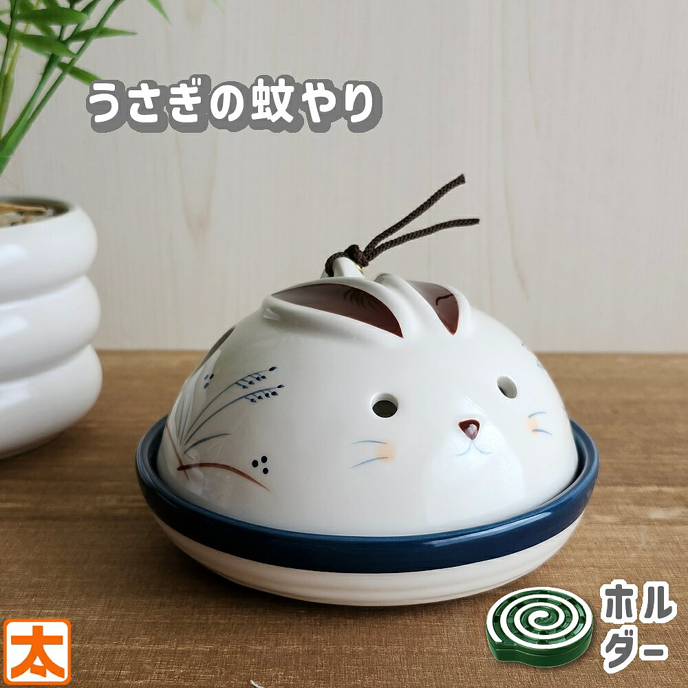 㸯     㸯 ưʪ   Ʒ 㸯 㸯 ƫ ʪ  Ʋ 襤 İ ...