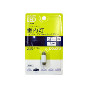 LED【T10×31