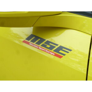 MSE