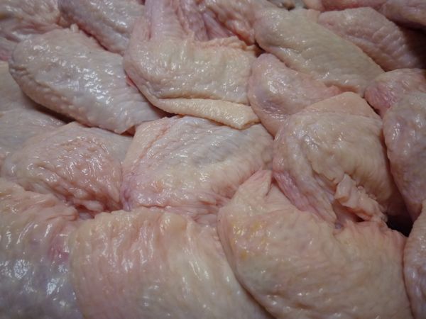 新鮮！国産鶏手羽先【約200g】●鍋 から揚げ 焼き鳥 ●