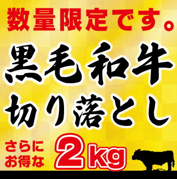 送料無料 【訳アリ】黒毛和牛 2kg 切り落とし肉　（国内産）さらにお得な2kg （250g×8）小分けで便利牛肉 切落し 切り落し 訳あり 国産 牛丼 炒め物 鉄板焼肉 肉じゃが 手巻き寿司 肉うどん しぐれ煮 ハッシュドビーフ プルコギ キンパ 送料無料 送料込み