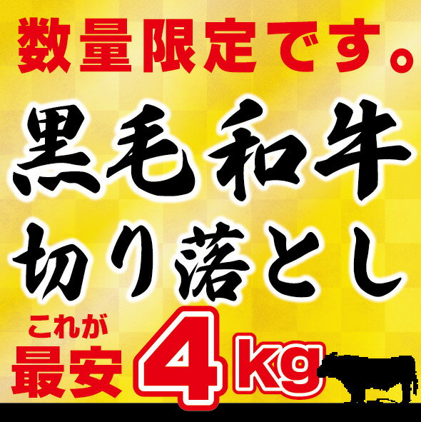 送料無料 【訳アリ】黒毛和牛 4kg 切