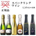 NEW『ミニスパ−クリングワイン 200ml 6種飲み比べセット』ボッテガゴールド マルティーニ ア ...