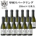 正規品【辛口スパークリングワイン】ミニボトル『マルス 甲州スパークリング 250ml×12本セット(1ケース)』本坊酒造 マルス穂坂ワイナリー 日本ワイン 白ワイン業務用 飲食店様必見 まとめ買い コスパ抜群 お試しサイズ