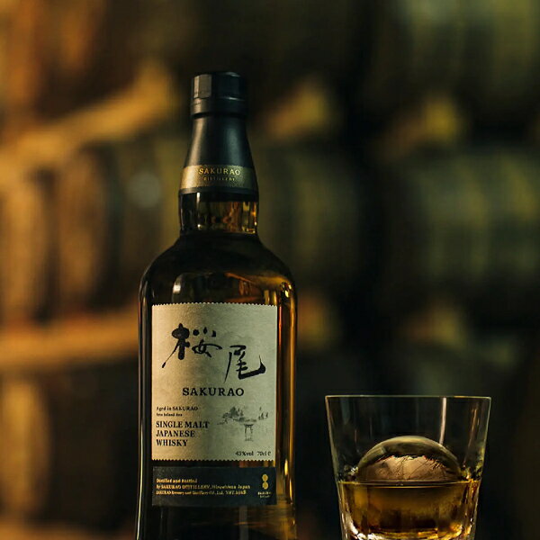 ベインズケープマウンテン シングルグレーン ウイスキー750ml 46度【5,000円以上送料無料】