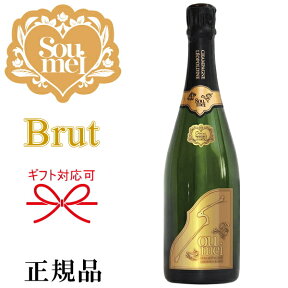 【正規品Soumeiシャンパン】BRUT GOLD『 ソウメイ ゴールド ブリュット 750ml箱なし 』糖質カットで太りにくい！ パリピ酒誕生日 バースデー 誕生祭 生誕祭 開店御祝 周年記念 シャンパンタワー飲食店様 業務用 仕入れ インスタ映え