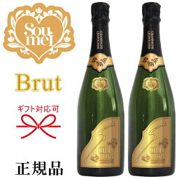 【正規品Soumeiシャンパン】BRUT GOLD『 ソウメイ ブリュット ゴールド 750ml×2本セット 』糖質カットで太りにくい！誕生日 バースデー 誕生祭 生誕祭 開店御祝 周年記念 シャンパンタワー飲食店様 業務用 仕入れ インスタ映え