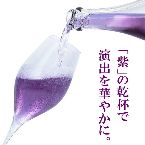 『パープルレイン 紫ワインペア＆ビールギフト』オーストラリア スパークリング 白ワイン 750mlサントリー ザ・プレミアムモルツ(プレモル)アサヒスーパードライ 350ml缶父の日 母の日 敬老の日 誕生日プレゼントお歳暮 御年賀 内祝い 御祝い