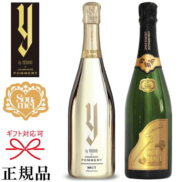 【正規限定品ワイ・バイ・ヨシキ】Y by YOSHIKI ギフト『 yoshiki シャンパン＆ソウメイ BRUT』 750ml×2本セット 御結婚御祝 結婚式 内祝 記念日 開店御祝 周年記念母の日 父の日 敬老の日 誕生日プレゼント御中元 御歳暮 インスタ映え