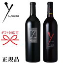 yKiCEoCEVLCzԃC 750ml~2{w yoshiki Jxl\[Bj 2019I[NB 2019 x䌋j  LO j JXj NLO̓ ̓ hV̓ av[g䒆 Ε Mtg