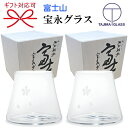 田島硝子【手づくり江戸硝子工芸品】『 富士山宝永グラス クリア ペアグラスセット 』木箱入り ビアグラス 桜柄 さくら結婚御祝い 引き出物 内祝い 記念日 ギフ...