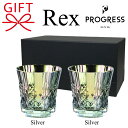 【プレミアムチタングラスウェア】『 プログレス レックスペア 265ml 2個箱入 』REX ロックグラス:シルバー&シルバー御結婚御祝 内祝 記念日 夫婦 誕生日 記念品 高級おしゃれ グラデーション ガラス コップ ギフト プレゼント