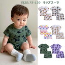2点セット 子供服 セットアップ 夏 上下セット tシャツ ショットパンツ パンツ ベビー服 男の子 女の子 パジャマ 半袖 トップス ズボン 韓国風 パンツ 可愛い 人気 新生児服 出産祝い 誕生日 プレゼント キッズ服 部屋着 カジュアル 百日祝い 幼稚園 普通着