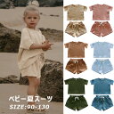 2点セット 子供服 セットアップ 夏 上下セット tシャツ ショットパンツ ベビー服 男の子 女の子 パジャマ 半袖 トップス ズボン 韓国風 パンツ 可愛い 人気 誕生日 プレゼント キッズ服 部屋着 カジュアル 幼稚園 普通着 夏スーツ