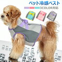 クールウェア ペット クールベスト 接触冷感 小型犬 中型犬大型犬 冷感クール ウェア 熱中症対策 クールウエア 犬服 犬用 ひんやり クール ドッグウエア 冷...