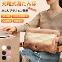 電気毛布 電気カイロ 電気ホットマット usb 充電式 電気マット ミニマット 3秒即暖 両面加熱 ハンドウォーマー 充電式湯たんぽ かわいい 無水 電気湯たん...