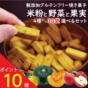 【大型連休イベント！10％OFFクーポン配布中！】グルテンフリー お菓子 ライスブランビスコッティ  ...