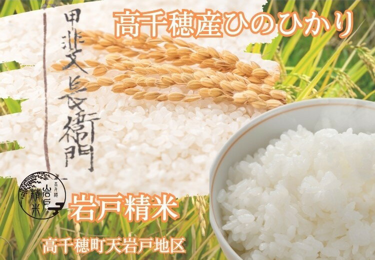 令和4年宮崎産ひのひかり 10kg 米 白米 宮崎県産ひのひかり 令和4年宮崎産ひのひかり 10kg 米 白米 宮崎県産ひのひかり