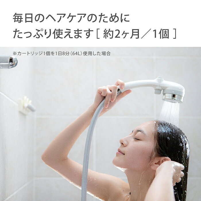 タカギ 浄水カートリッジ JSC003（キモチイイ浄水シャワピタ用・2個入り）の写真4