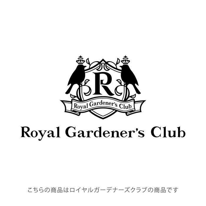 ロイヤルガーデナーズクラブ じょうろ ジョーロ ガーデンジョーロ 4L バニライエロー おしゃれ VCBNG007 【安心の2年間保証】 2