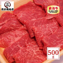 飛騨牛 母の日 プレゼント 飛騨牛 モモ 焼肉 500g 【送料無料】 【A5等級】 赤身 赤身肉 岐阜県 お中元 2024 飛騨牛 グルメ 飛騨牛 ギフト 牛肉 贈り物 黒毛和牛 シンタマ イチボ ランプ 肉 プレゼント