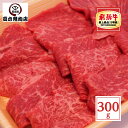 飛騨牛 モモ 焼肉 300g 【送料無料】 【A5等級】 赤身 赤身肉 岐阜県 グルメ 牛肉 贈り物 黒毛和牛 シンタマ イチボ ランプ 肉 入学祝 卒業祝 内祝 プレゼント