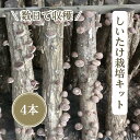 【農家直送】【16%お得】お届け後、数日~2週間で収穫できる原木 しいたけ栽培キット