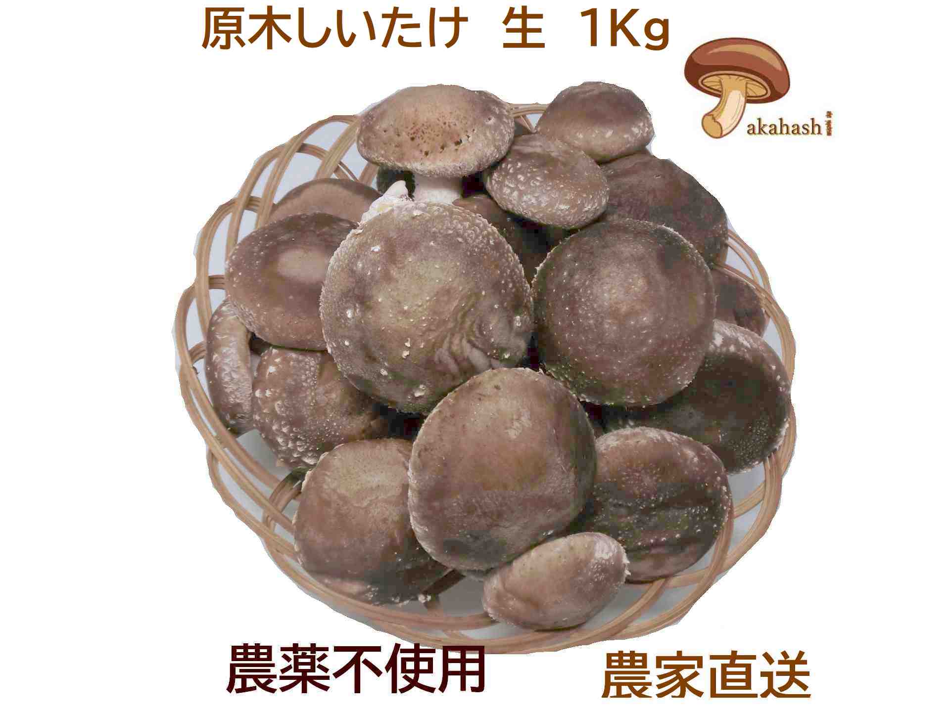 生切スライス500g 神乾 昆布・椎茸・にぼし 和風調味料 【常温食品】【業務用食材】