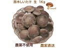【農家直送】《脱炭素》4代70年の伝統・高橋農園 国産 原木しいたけ 生 農薬不使用 クール便サービス ご家庭用 厚肉シイタケ 生椎茸 1kg 原木椎茸 通販 ...