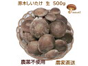 【産地直送】《脱炭素》4代70年の伝統・高橋農園 国産 原木しいたけ 500g 農薬不使用 クール便サービス 厚肉シイタケ 原木椎茸 通販 お取り寄せ ご家庭用...