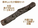 【農家直送】お届け後、数日〜2週間で収穫できる原木 しいたけ栽培キット(太めホダ木1本入り。太め10cm以上)農薬不使用 40年以上の経験を持つ現役のしいたけ農...