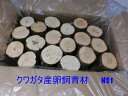 オオクワガタ 産卵木 コナラ 「細」「中」「太」の3種類 箱売り 太さによって1箱当たりの入数が違います。 朽ち木 農薬不使用 国産原木使用 長さ約14cm【約...