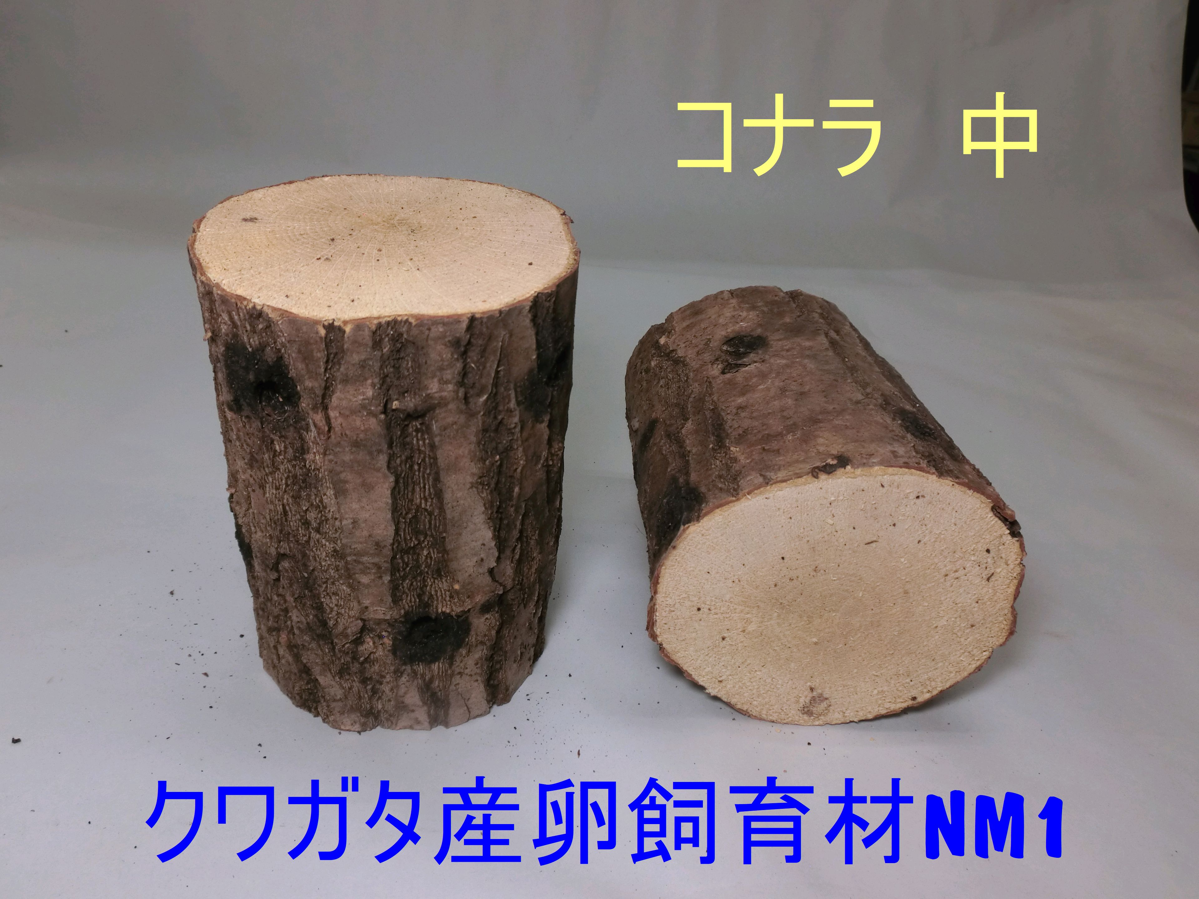 オオクワガタ 産卵木 飼育材 コナラ材 やや硬め 長さ約14cm 小径木～大径木 柔軟材ではありません バラ売り 1本でも送料がかかります NS1（細） NM1（中 NL1（太）を組み合わせて複数本のご購入をお勧めします 合計3980円以上は送料無料