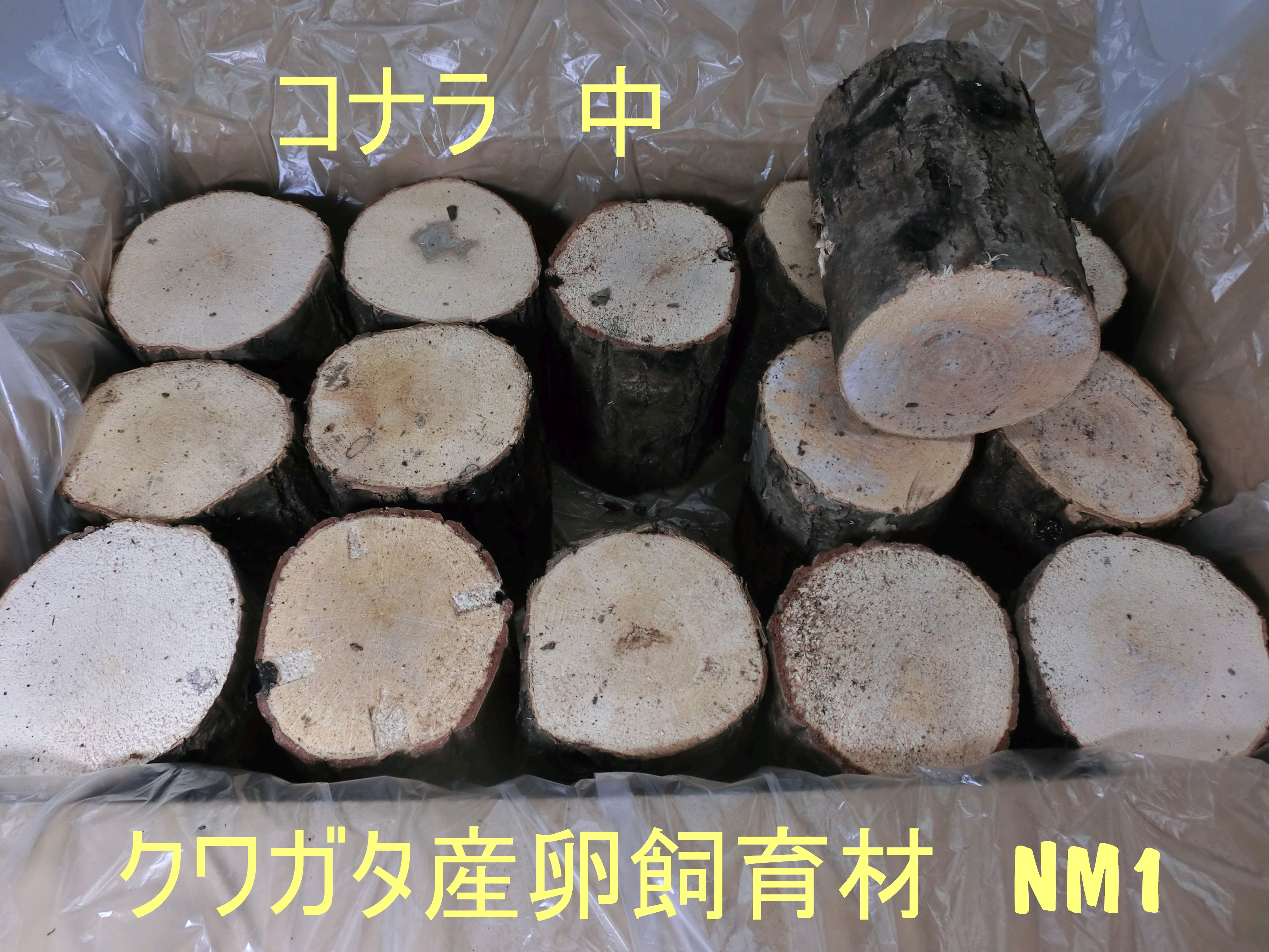 オオクワガタ産卵木NM1 コナラ中やや硬め 農薬不使用 国産原木使用 箱入り（14～17本で本数指定可能）長さ約14cm 太さ9～11cm