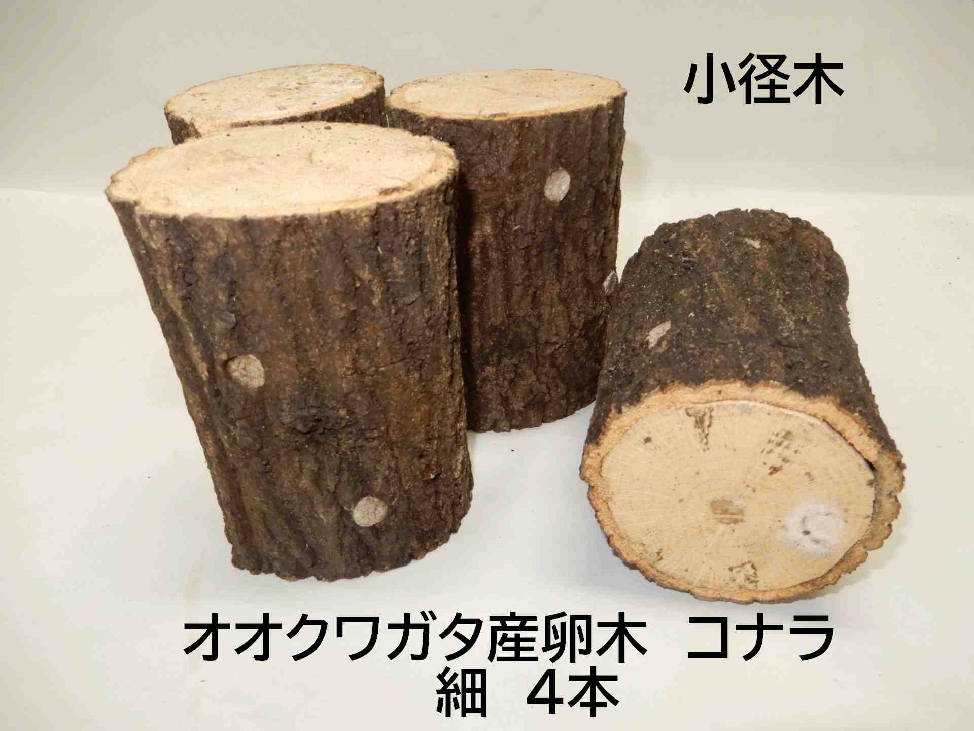 【農家直送】オオクワガタ産卵木　飼育材KS1 クヌギ細4本入り やや硬め 農薬不使用 国産原木使用 長さ約14cm、太さ7～9cm　北東北以北、関西以西の場合、別途送料（100円～）がかかる場合があります