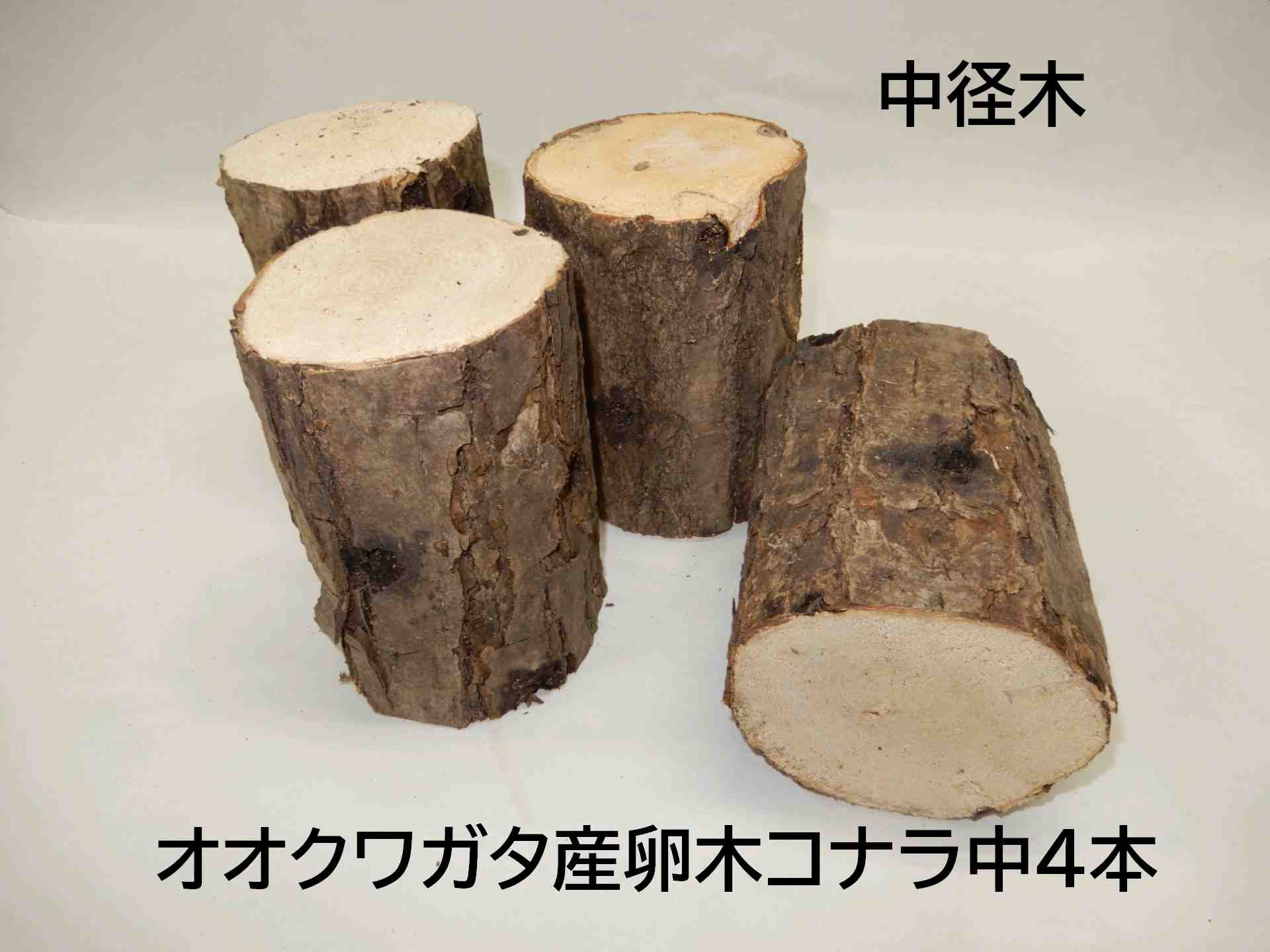 オオクワガタ 産卵木 コナラ 中 4本入り 農薬不使用 国産原木使用 長さ約14cm、太さ9～11cm　北東北以北、関西以西の場合、別途送料（100円～）がかかります飼育材 自朽木 NM104 その1