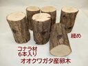 オオクワガタ 産卵木 コナラ 細6本入り 農薬不使用 国産原木使用 長さ約14cm、太さ約7〜9cm 朽ち木 飼育材 北東北以北、関西以西の場合、別途送料(10...