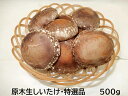【農家直送】《脱炭素》4代70年の伝統・高橋農園 国産 原木しいたけ 生 特選品500g 農薬不使用 クール便サービス 厚肉シイタケ 生椎茸 原木椎茸 通販 こ...